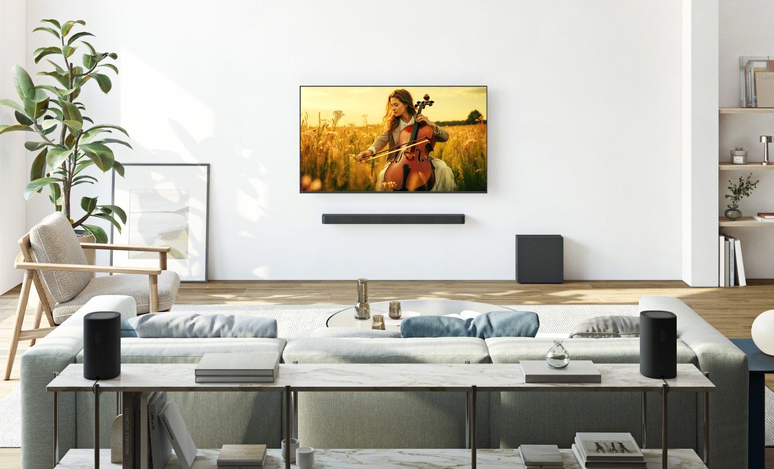 Sony Bravia Tv and Theater