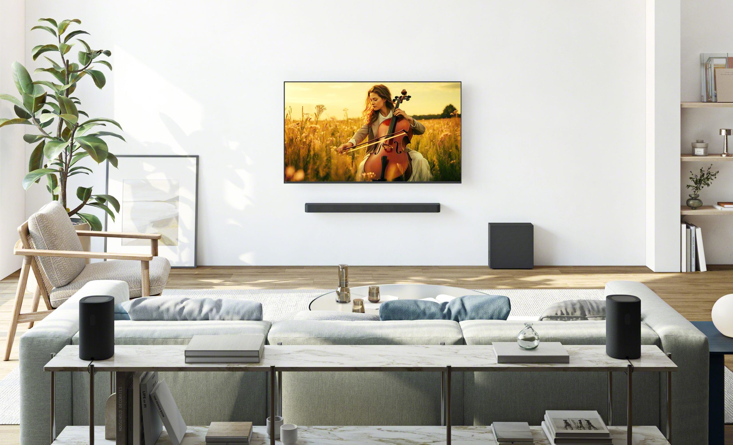 Sony Bravia Tv and Theater